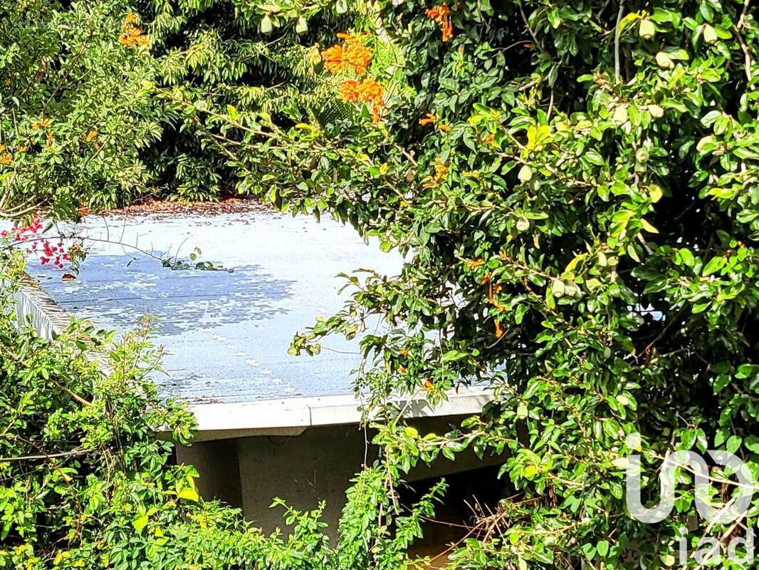 Photo 5 - Terrain à LE TAMPON