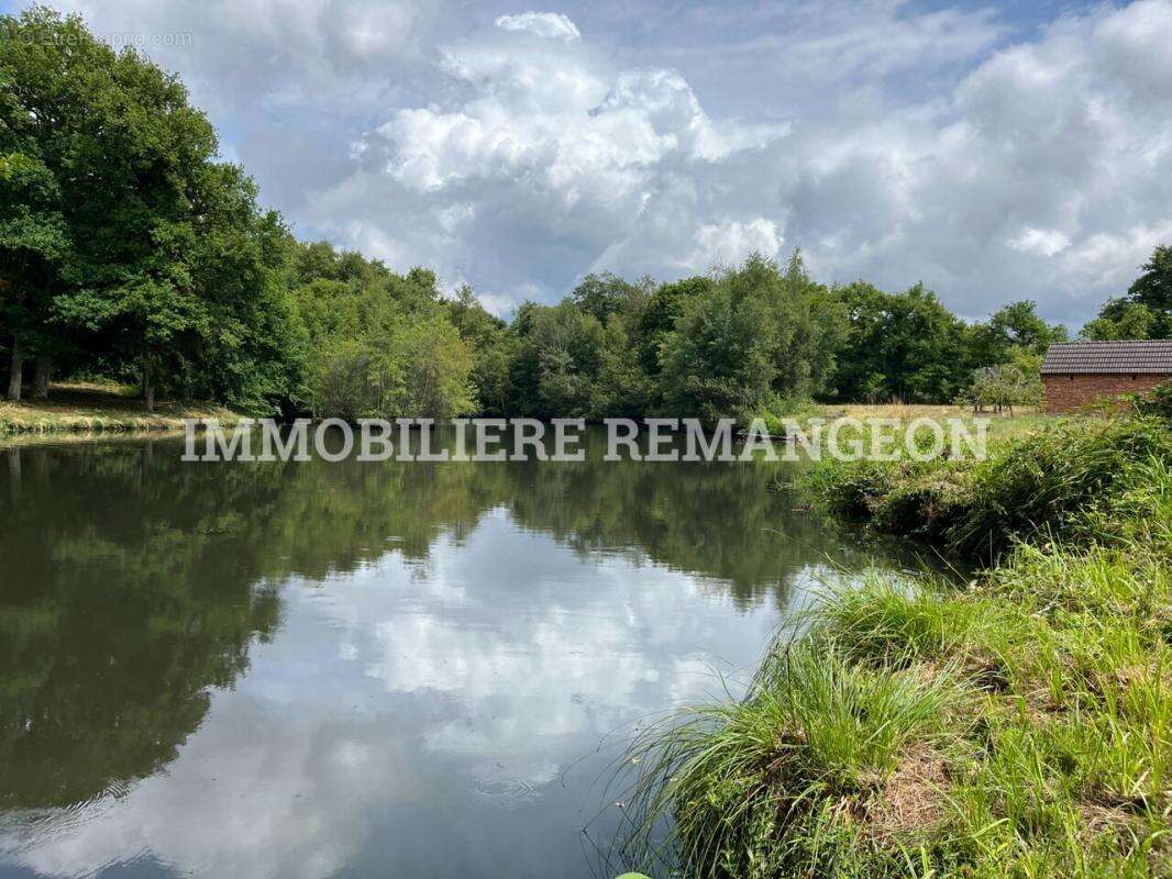 Maison à BRINON-SUR-SAULDRE
