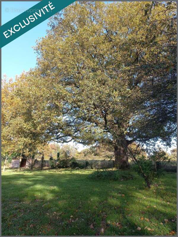 Photo 9 - Maison à NOZAY