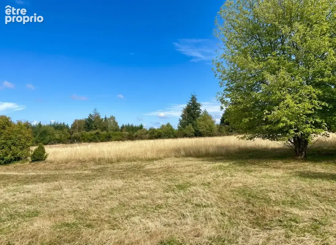 Maison 6 pièces 115 m² à vendre à Bugeat (19170) - photo 2