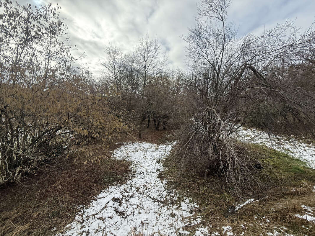 Maison à SAINT-JULIEN-CHAPTEUIL