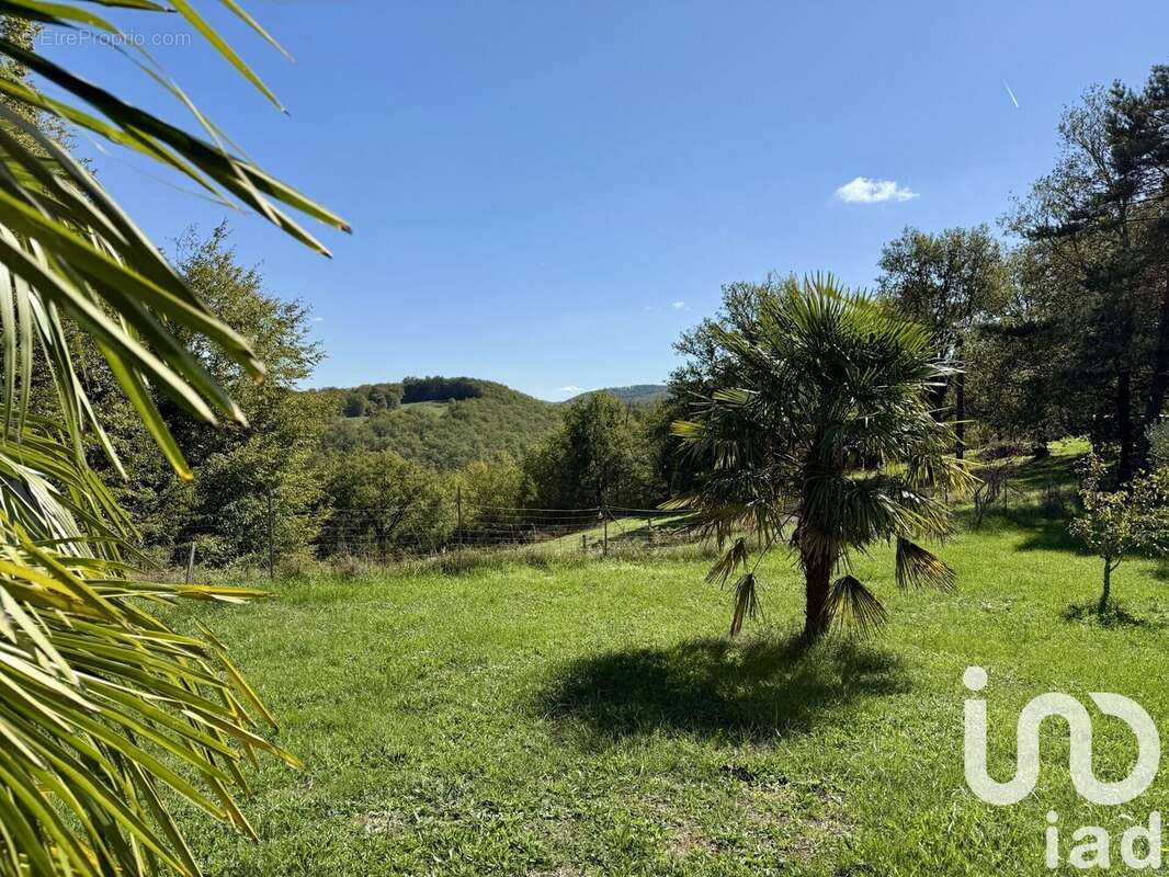 Photo 3 - Maison à SALIGNAC-EYVIGUES