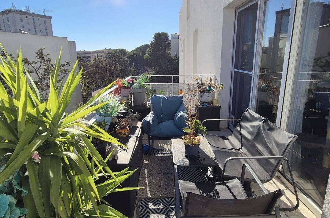 Appartement à MONTPELLIER