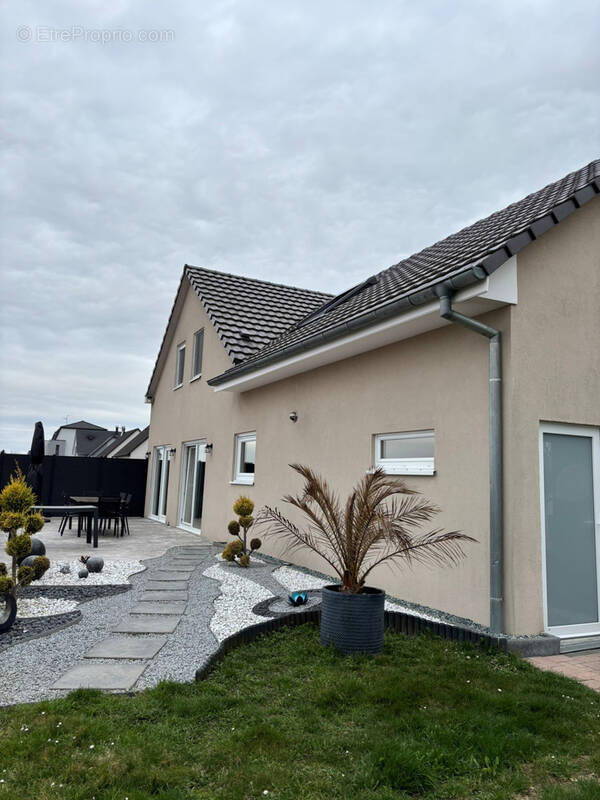 Maison à HOMBOURG