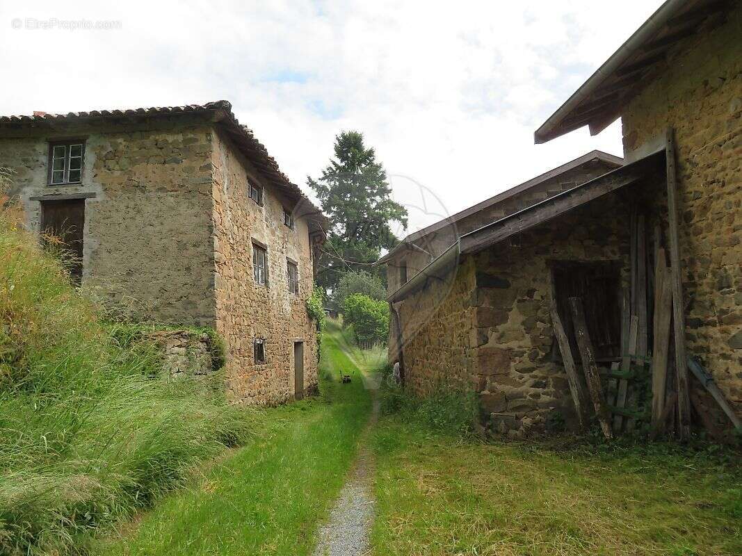 Maison à SAINT-NIZIER-D'AZERGUES