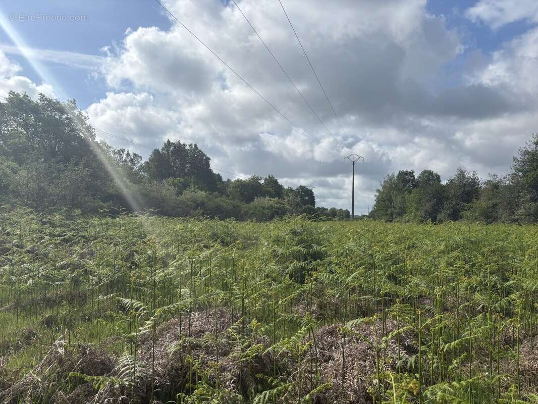 Terrain à BAUGE