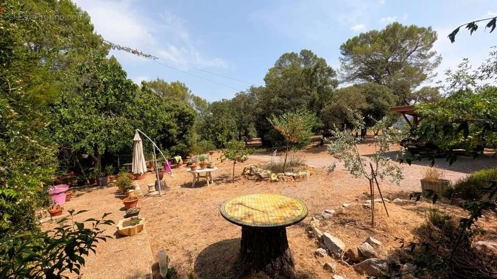 CARCES Propriété sur 7.5 hectares - photo 10