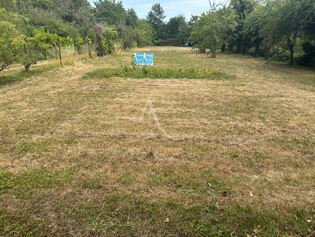 Terrain à SAINT-MICHEL-LE-CLOUCQ