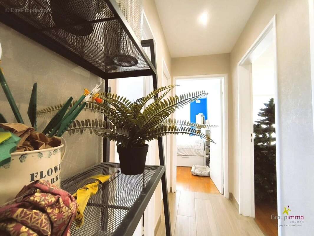 Appartement à COLMAR