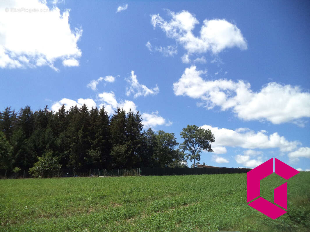 Terrain à SAINT-PIERRE-EYNAC