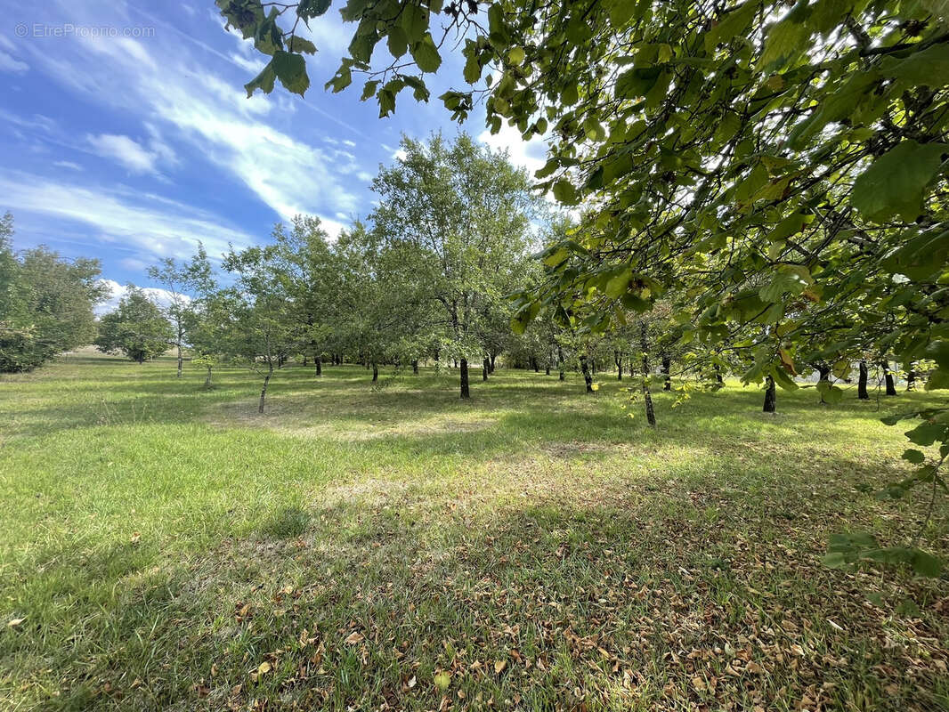 Terrain constructible - photo 2
