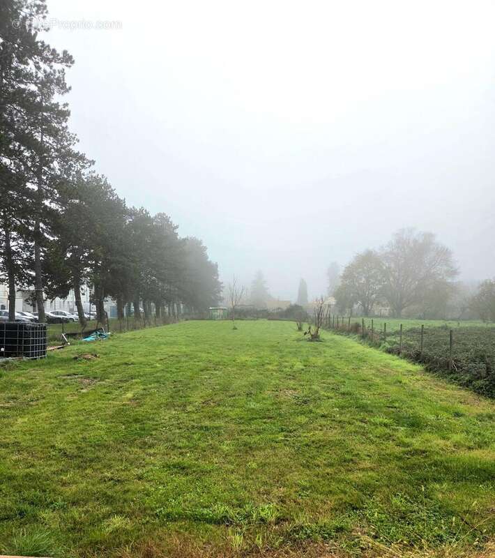 Photo 6 - Maison à LA FORCE