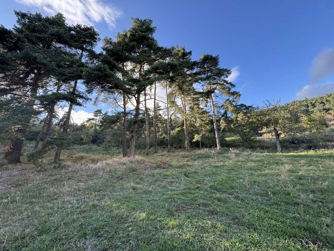 Terrain à VINZIEUX