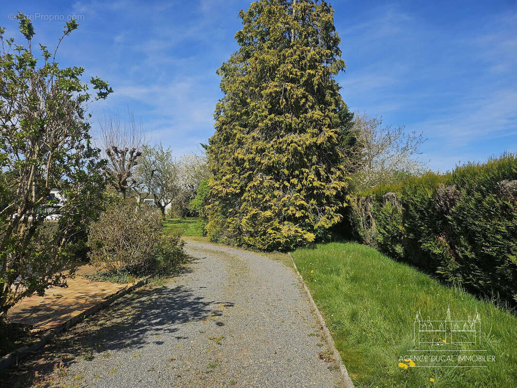 Maison à SAINT-PARIZE-LE-CHATEL