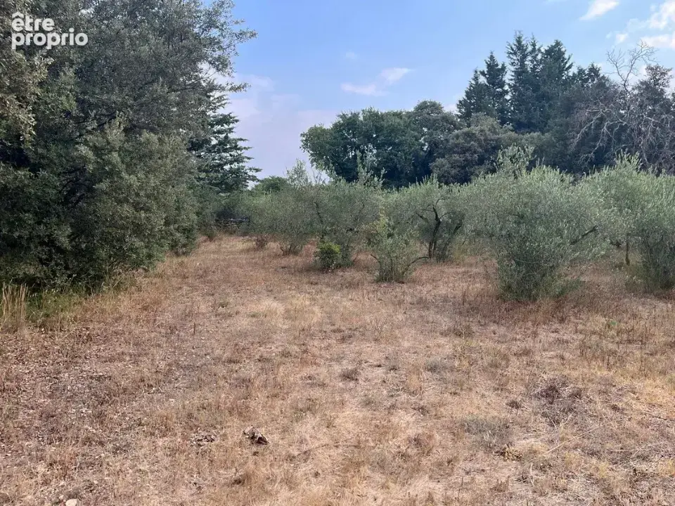 Terrain 1 680 m² à vendre à Villevieille (30250) - photo 3