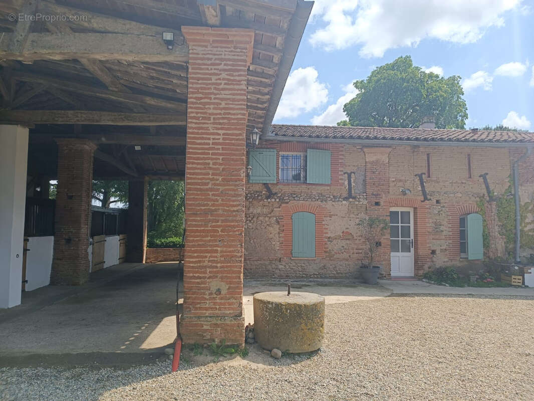 CINTEGABELLE- Fonds de commerce pension de chevaux et poney club - photo 17