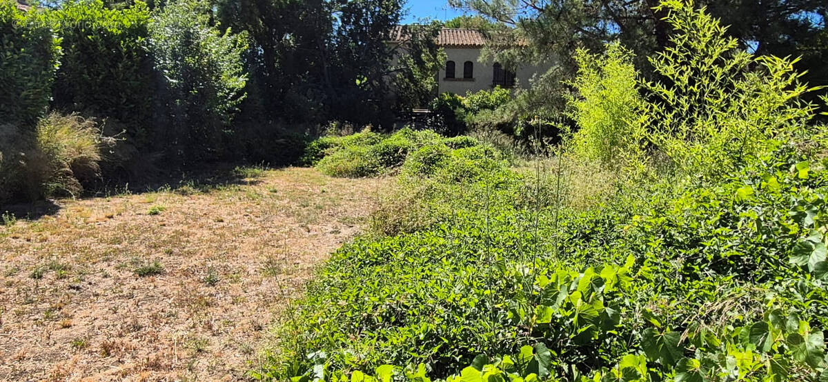 Terrain à FONTES