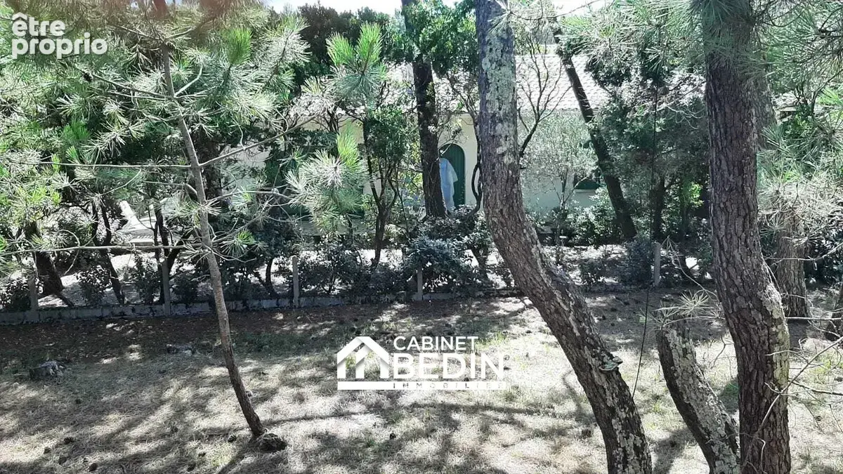 Maison 8 pièces 210 m² à vendre à Lege-Cap-Ferret (33970) - photo 3