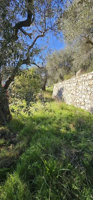 Terrain à TOURRETTE-LEVENS