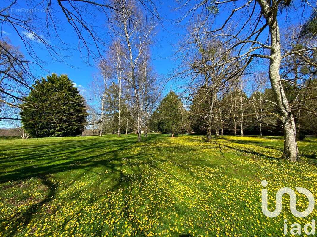 Photo 9 - Maison à LUCHAPT