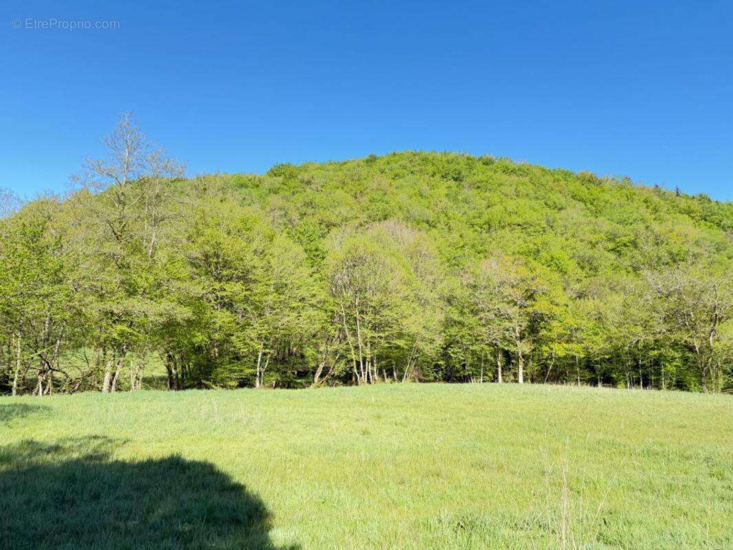 maison en campagne à 15 minutes de Brive - photo 16