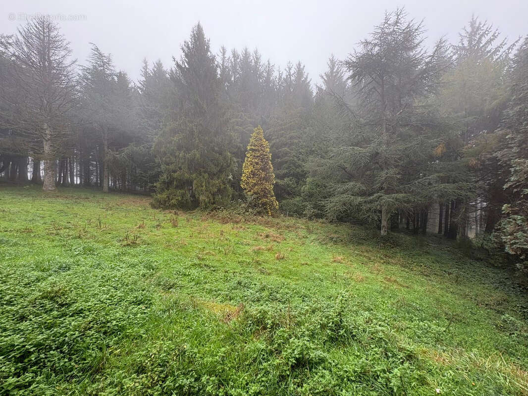 Maison à CASSAGNOLES