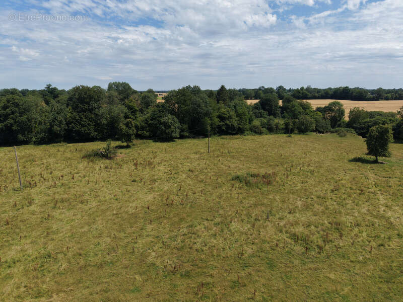 Corps de ferme avec 3,7 hectares de terrain - photo 21