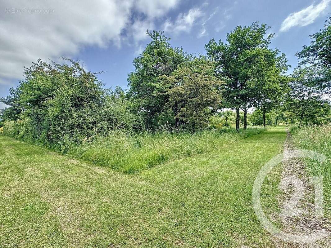 Maison à LA FERTE-SAINT-AUBIN