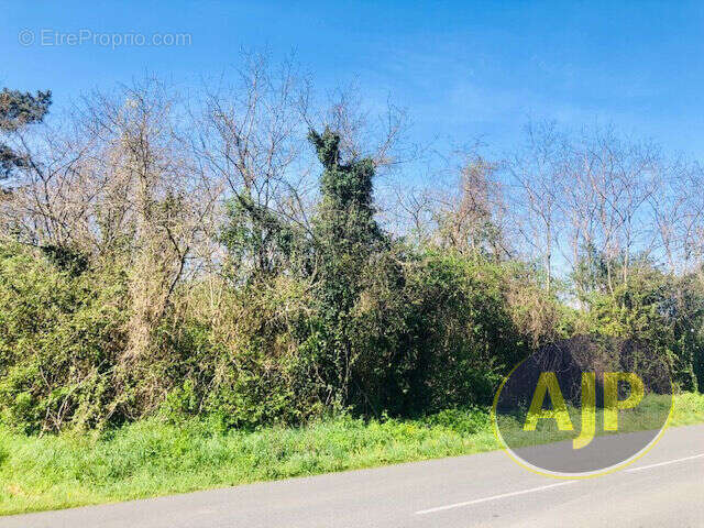 Terrain à SAINT-GERMAIN-D&#039;ESTEUIL