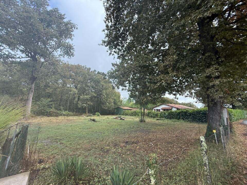 Terrain à SAINT-SELVE