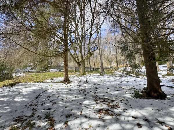 Terrain à SAINT-THEOFFREY