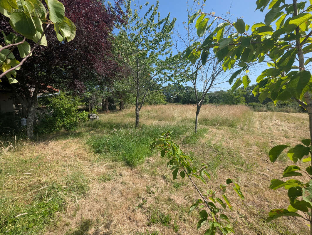 Maison de campagne avec vie de plain-pied ! - photo 3