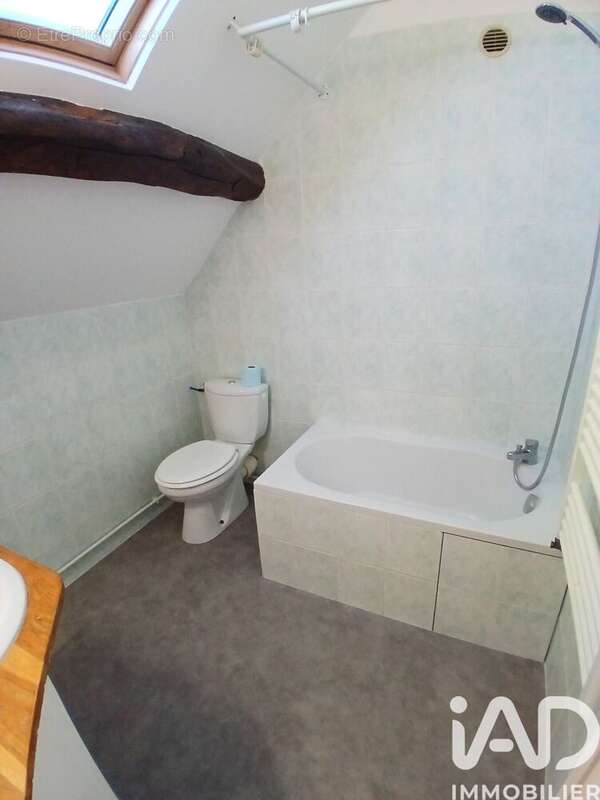 Photo 4 - Appartement à CHATILLON-SUR-LOIRE