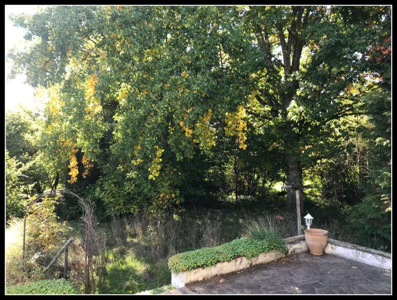 Maison à BOURGANEUF