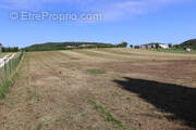 Terrain à DAUSSE