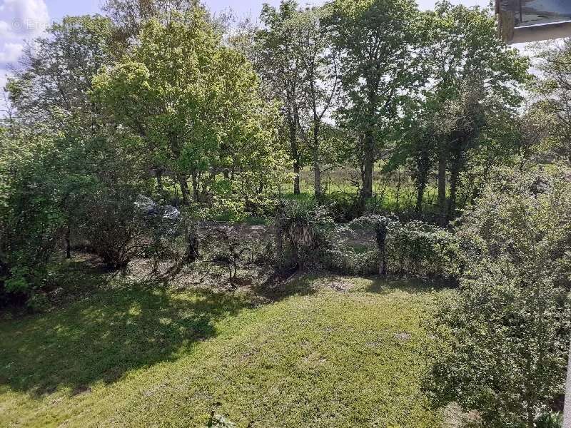 Propriété à rénover sans voisins proches et 5000m² de terrain - photo 14