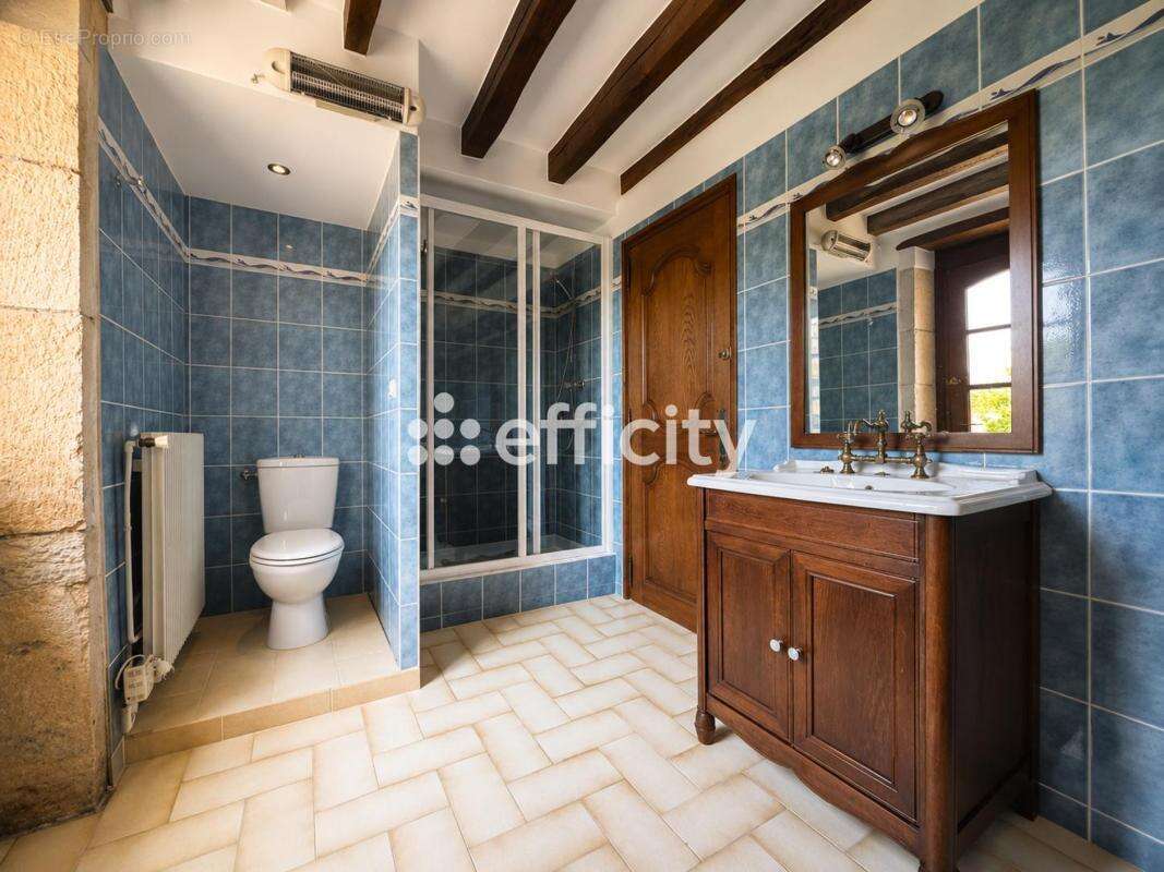 Maison 215 m² à Bierry-Les-Belles-Fontaines  - photo 10