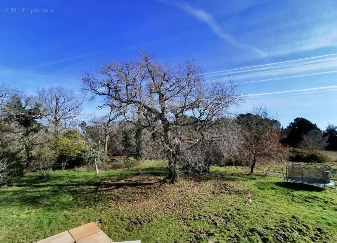 Photo 4 - Maison à LARUSCADE