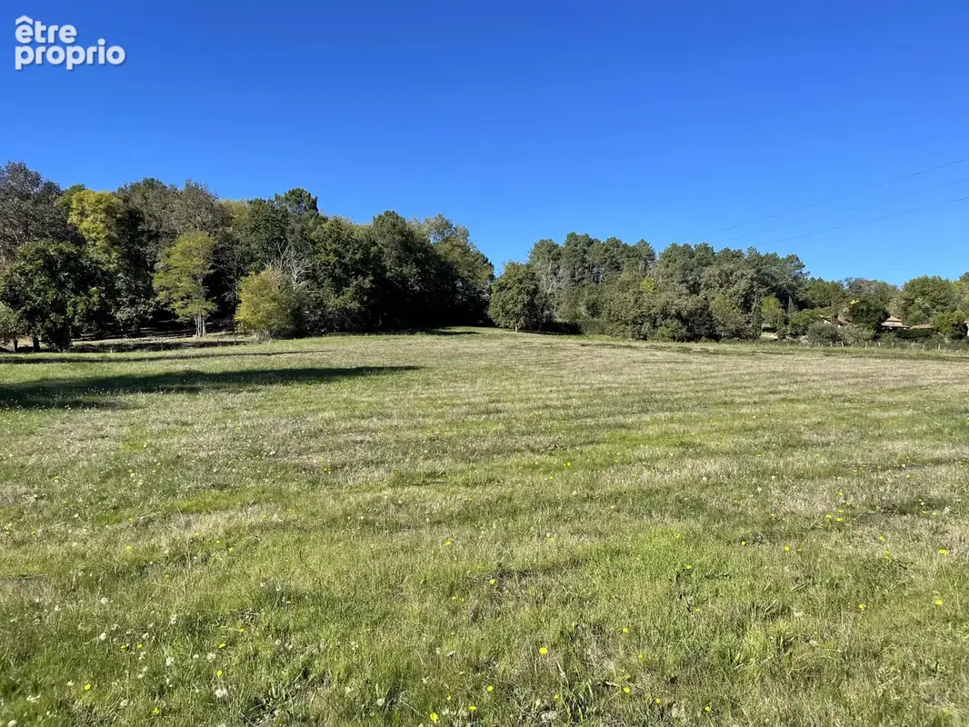 Beau terrain de plus de 14 000 m2   dont environ 10 000 m2 constructibles - photo 4