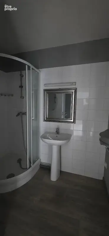 Appartement  2 pièce(s) 47 m2 + cave + grenier - photo 6
