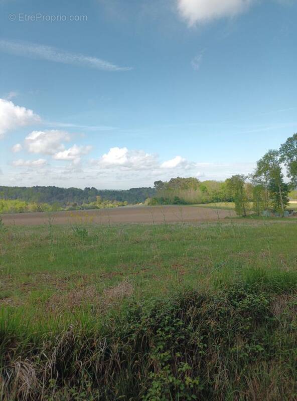Terrain à BASSILLAC