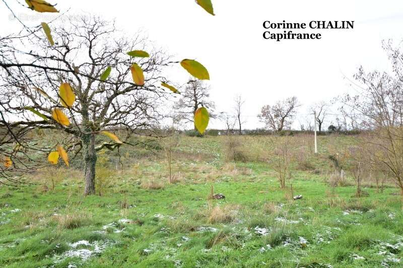 Maison à SAINT-PRIX