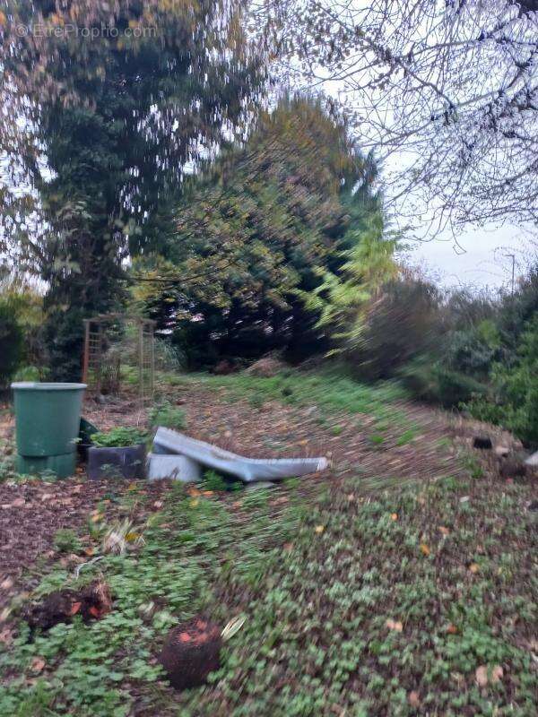 Maison à HENIN-BEAUMONT