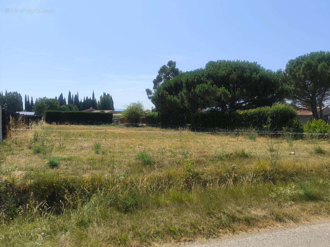 Terrain À Vendre 746 M2 PLAT - photo 2