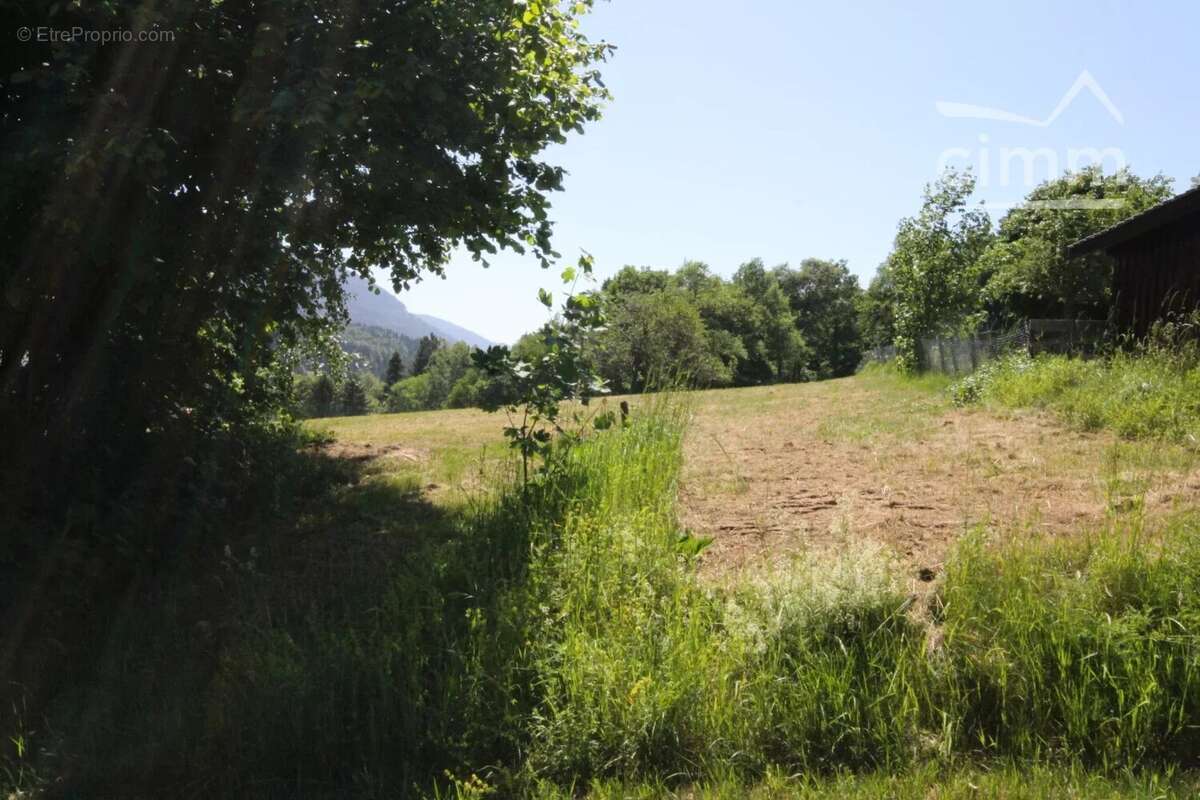 Grand terrain - photo 6