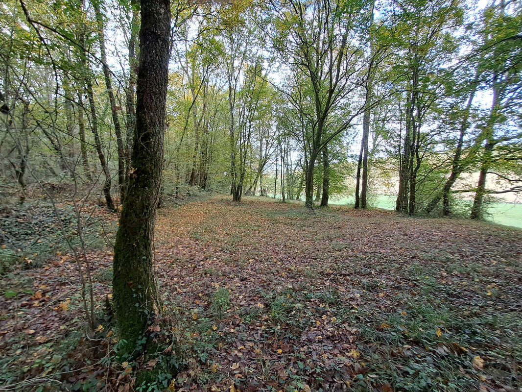 Maison à PORT-SAINTE-MARIE