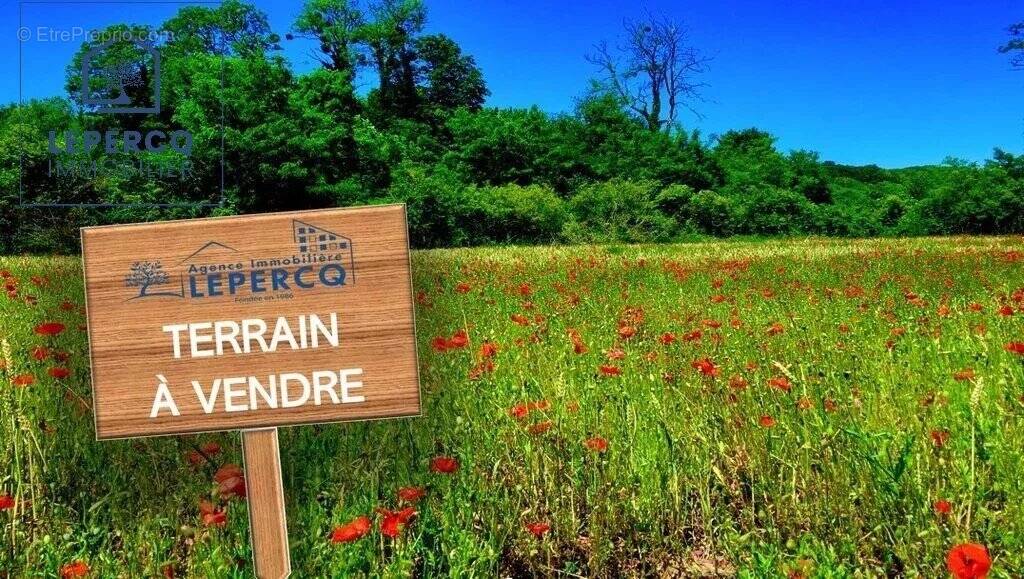 Terrain à VILLERS-COTTERETS