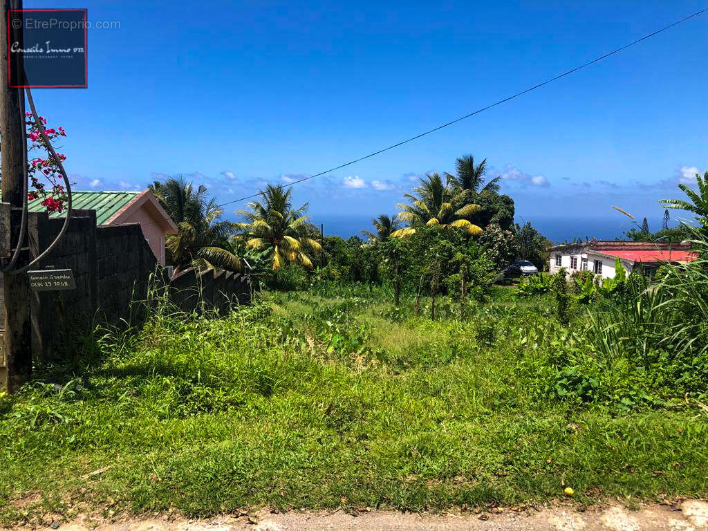 Terrain à bâtir de 1 316 m2 à vendre à Basse-Pointe - photo 4