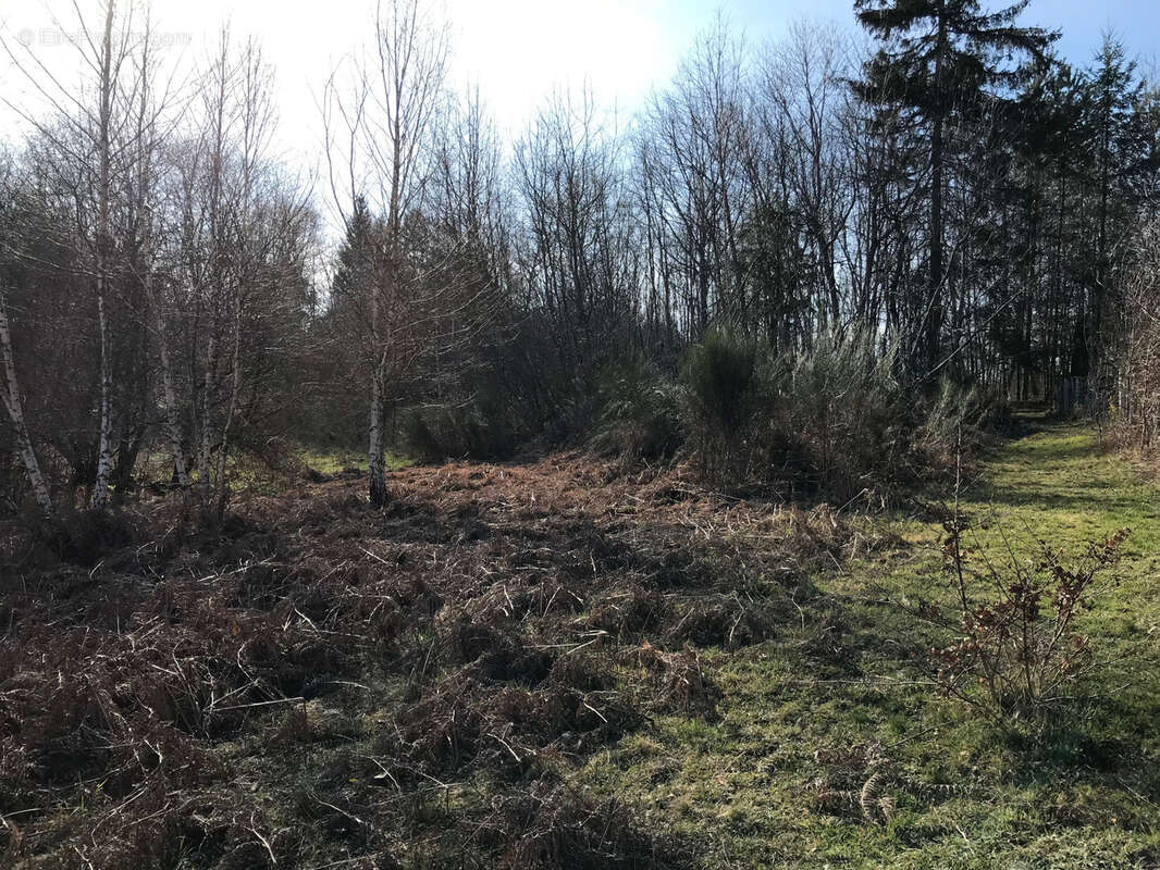 Terrain à VITRAC-SUR-MONTANE