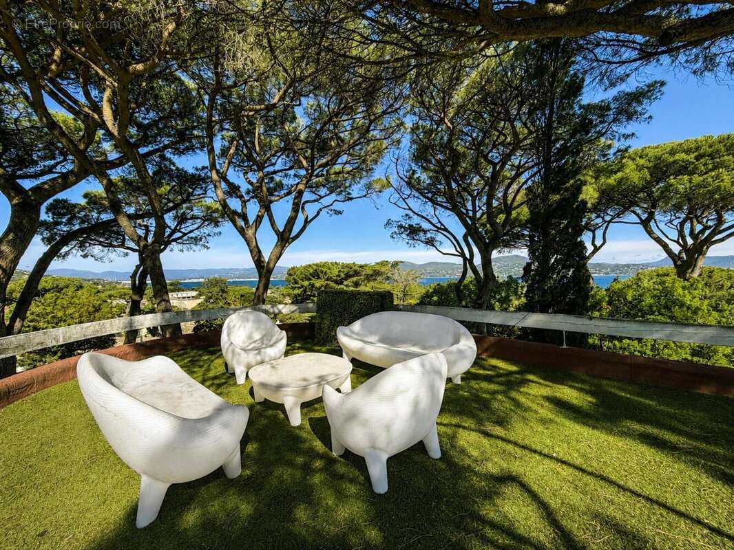 Photo 3 - Appartement à SAINT-TROPEZ